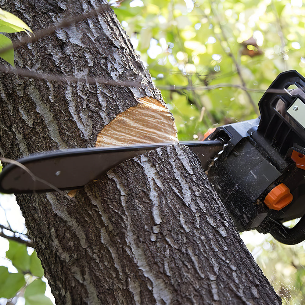 Cordless Electric Chainsaw 16-Inch, 40V Brushless Motor, 4Ah Battery